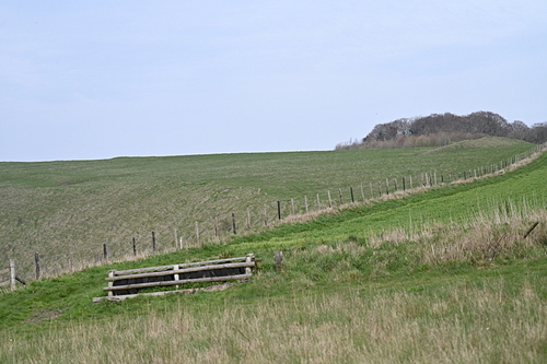 WJ7_8025
