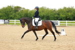 SBM_006017