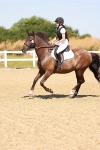SBM_000984
