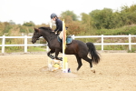 SBM_007391