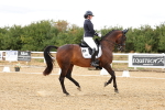 SBM_006449
