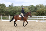 SBM_002804