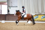 SBM_000856