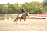 SBM_001013