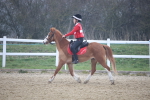 SBM_003372