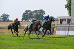 160726-Race 6-Capital Guarantee-5127
