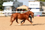 SBM_10991