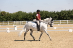 SBM_003492
