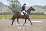 BPP_9719