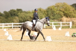 SBM_004531