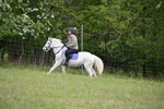 Chiltern Rides - Wormsley Estate 05-05-25 portfolio