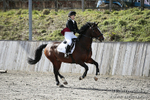 BVRC SJ 170319 435