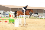 SBM_009936