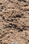 231015A-113014-07481