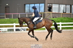 Cls 32 95cm National Amateur Quali portfolio