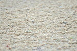 230708A-123704-02828