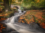 Cloughlea, (Manor Kilbride) Autumn 2016
