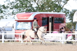 SBM_10872