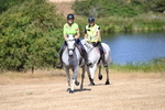 WJ6_8878