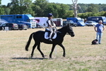 WJ6_8378