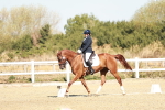 SBM_017023