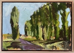 Poplar Misconception