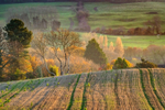 z3343 An Autumn Landscape, Shanklin
