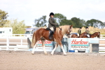 SBM_14357