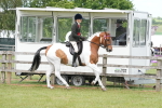 SBM_17648