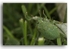 2749 bug 3