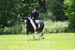 WJ7_2636