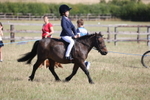 Class 18 - Childs First Pony portfolio
