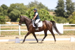SBM_010626