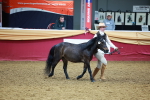 SBM_16043
