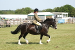 SBM_09187