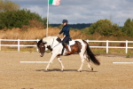 SBM_009681