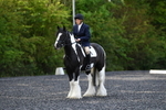 WJ5_8717