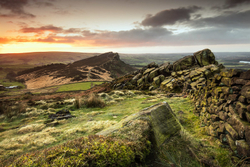 Selected images from the archive portfolio