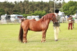 SBM_00491