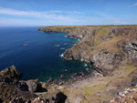 Vellan Head #2