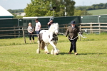 SBM_08621