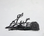 The bird fell down portfolio