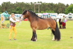 SBM_06322