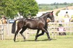 SBM_09087