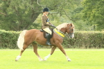 SBM_75340
