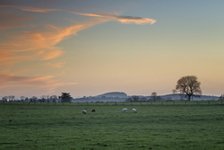 #117  Hill Of Allen Sunset