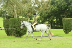 S 61 - Show Pony & Show Hunter Pony Ridden portfolio