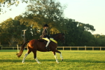 SBM_56618
