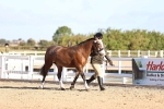SBM_08409