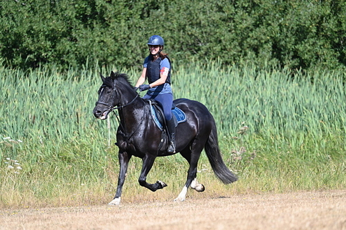 WJ7_8121